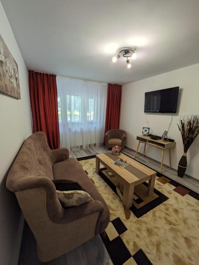 Apartamentul Alfa Slănic-Moldova エクステリア 写真