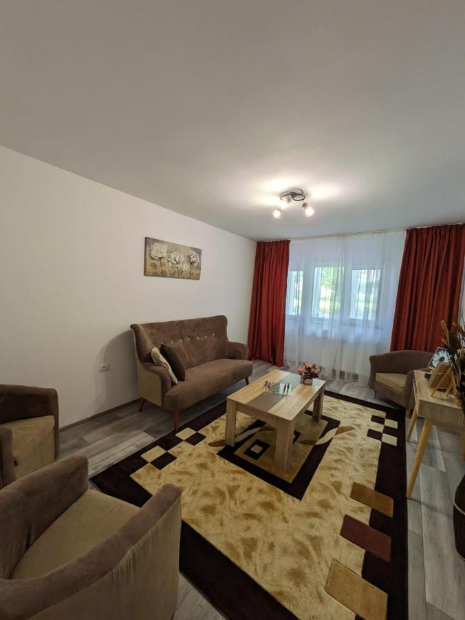 Apartamentul Alfa Slănic-Moldova エクステリア 写真