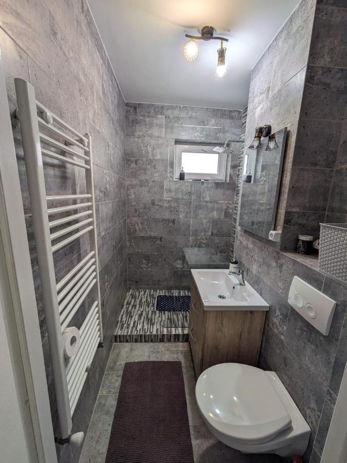 Apartamentul Alfa Slănic-Moldova エクステリア 写真