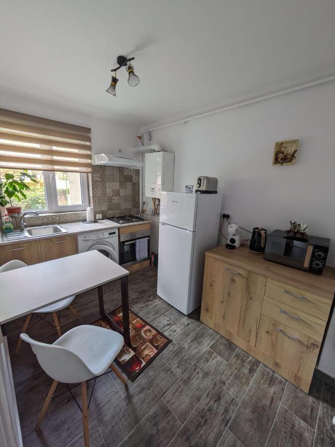 Apartamentul Alfa Slănic-Moldova エクステリア 写真