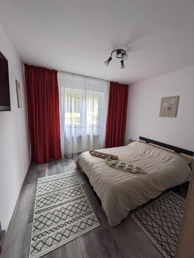 Apartamentul Alfa Slănic-Moldova エクステリア 写真