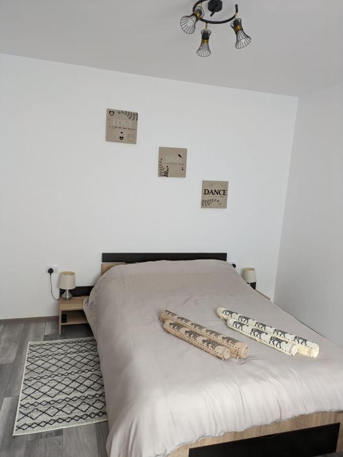 Apartamentul Alfa Slănic-Moldova エクステリア 写真